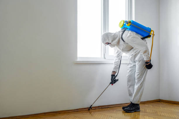 Best Commercial Pest Control  in Highland Lakes, AL